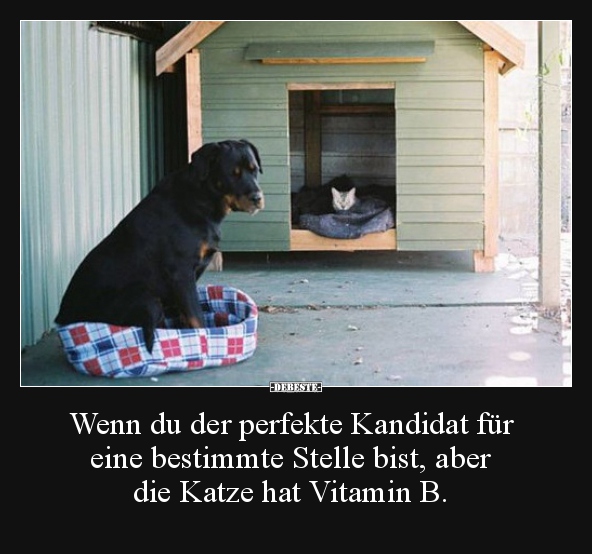 Wenn du der perfekte Kandidat für eine bestimmte Stelle..