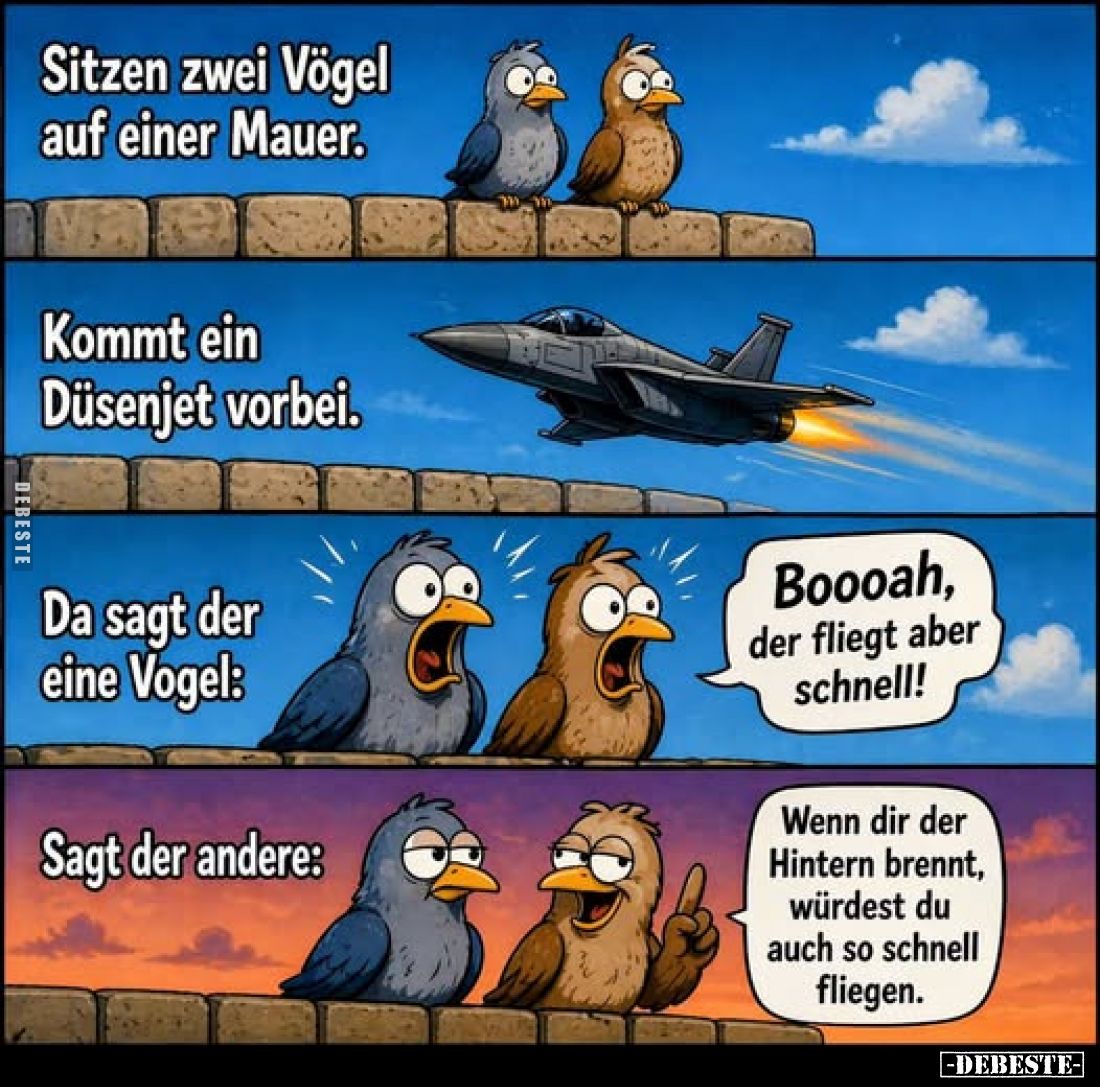 Sitzen zwei Vögel auf einer Mauer.
Kommt ein Düsenjet vorbei.
Da sagt der eine Vogel: Boooah, der fliegt aber schnell!
Sag...