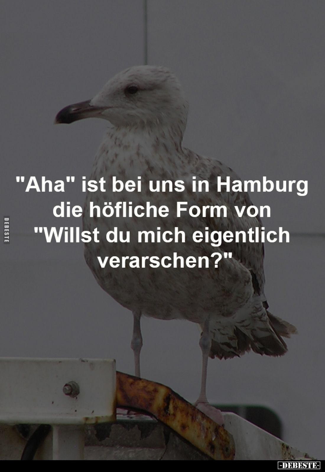 "Aha" ist bei uns in Hamburg 
die höfliche Form von 
"Willst du mich eigentlich 
verarschen?"