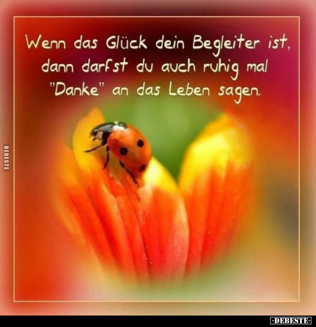 Wenn das Glück dein Begleiter ist, dann darfst du auch ruhig mal "Danke" an das Leben sagen.