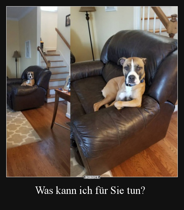 Was kann ich für Sie tun?