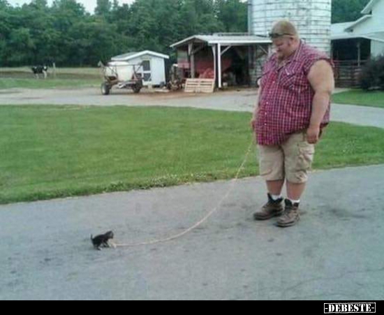 :] - Lustige Bilder | DEBESTE.de