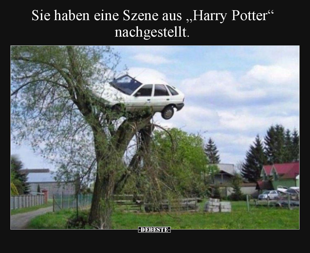 Sie haben eine Szene aus "Harry Potter" nachgestellt... - Lustige Bilder | DEBESTE.de