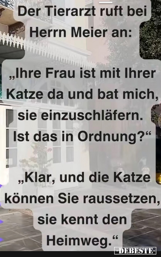 Tierarzt - Lustige Bilder | DEBESTE.de