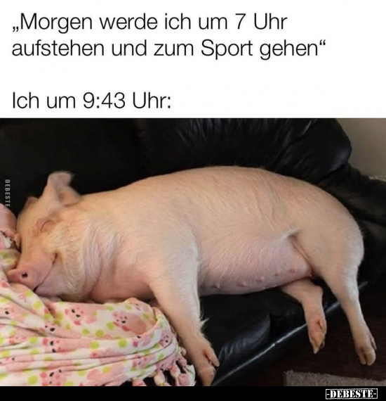 "Morgen werde ich um 7 Uhr aufstehen und zum Sport.." - Lustige Bilder | DEBESTE.de