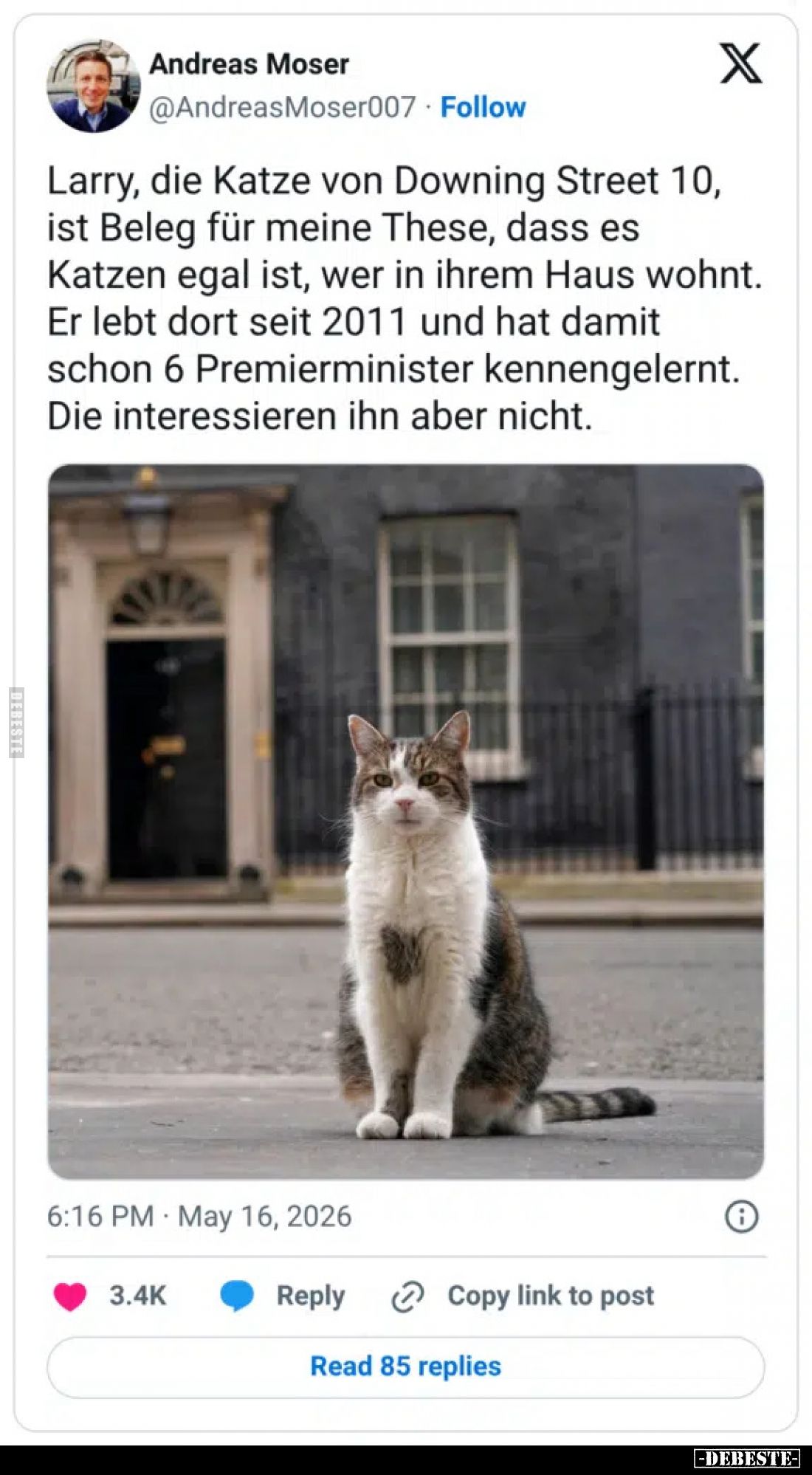 Larry, die Katze von Downing Street 10, ist Beleg für meine These, dass es Katzen egal ist, wer in ihrem Haus wohnt.
Er lebt...