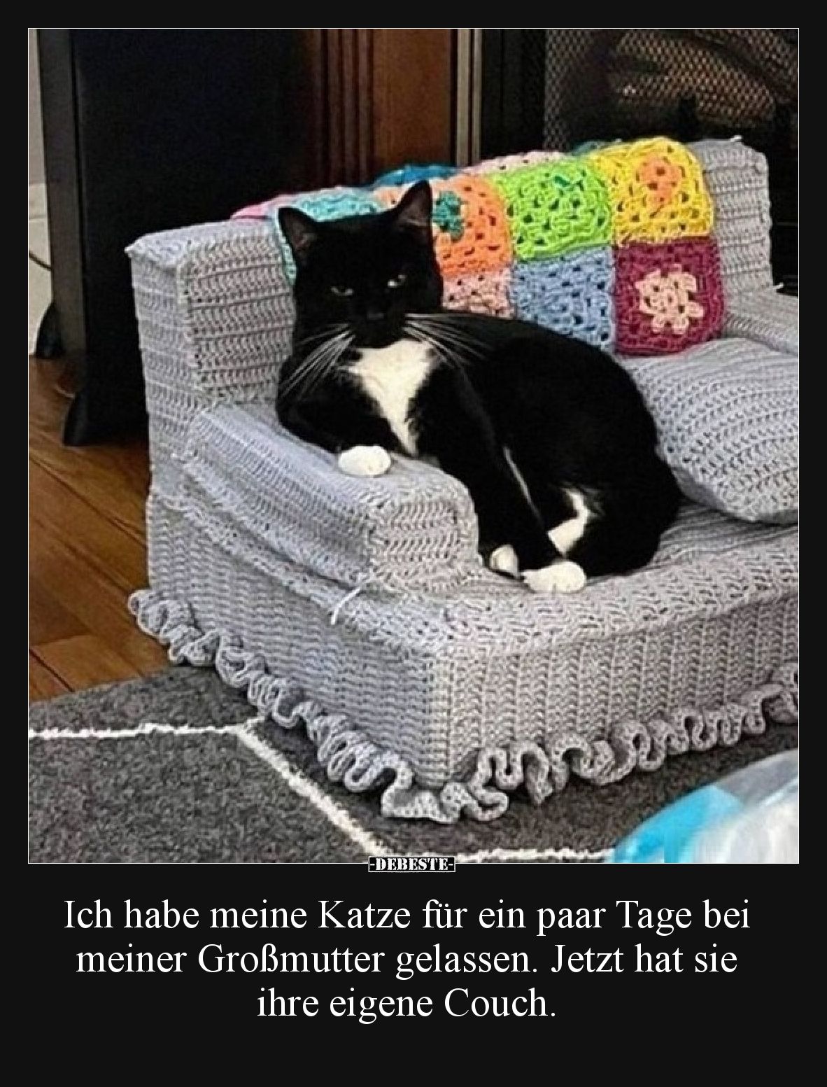 Ich habe meine Katze für ein paar Tage bei meiner Großmutter gelassen. Jetzt hat sie ihre eigene Couch.