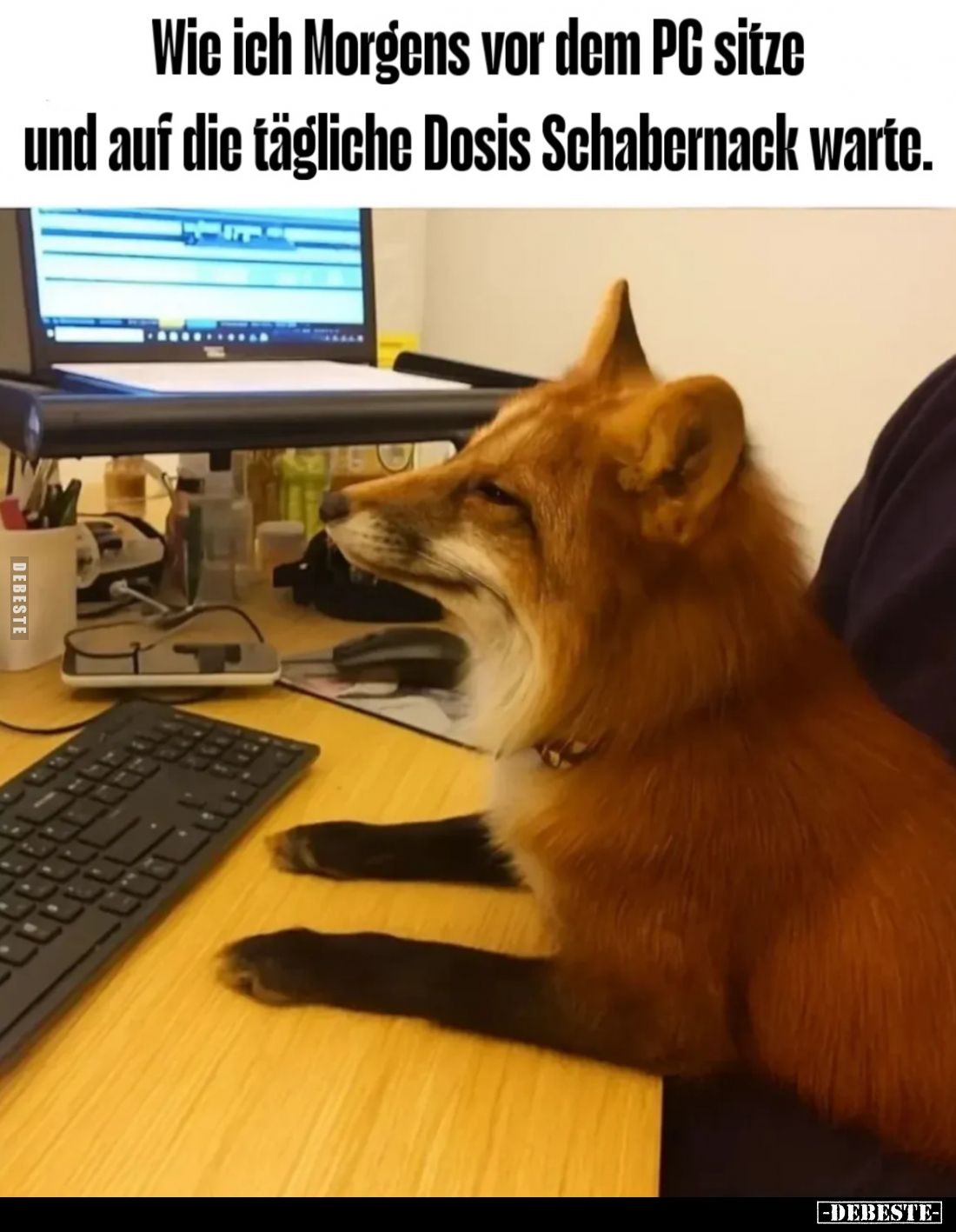 Misch Morgens vor dem PG sitze und auf die tägliche Dosis Schahernack warte.