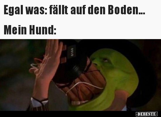 Egal was: fällt auf den Boden... Mein Hund..