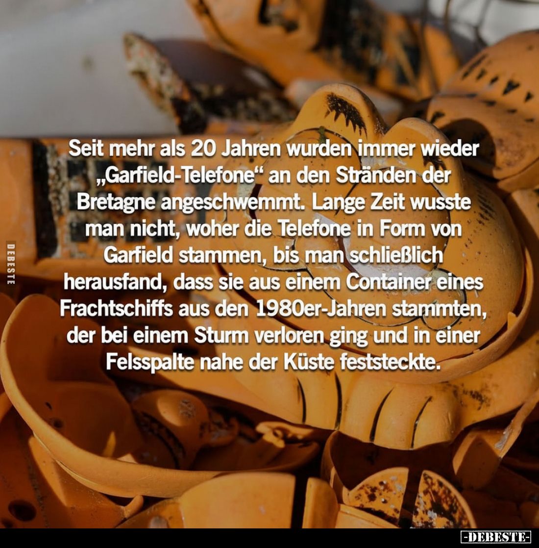 Seit mehr als 20 Jahren wurden immer wieder ,,Garfield-Telefone" an den Stränden der Bretagne angeschwemmt. Lange Zeit w...