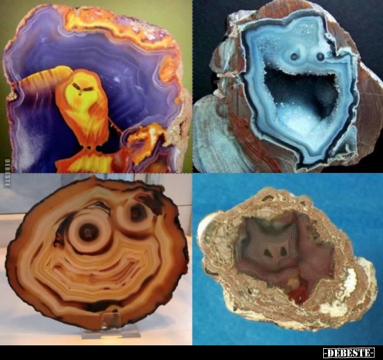  - Lustige Bilder | DEBESTE.de