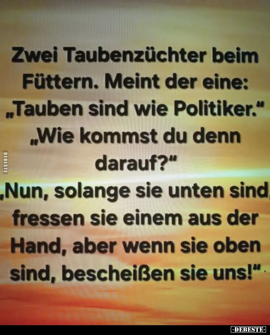 Zwei Taubenzüchter beim Füttern. Meint der eine: „Tauben sind wie Politiker."
„Wie kommst du denn darauf?"
„Nun, ...