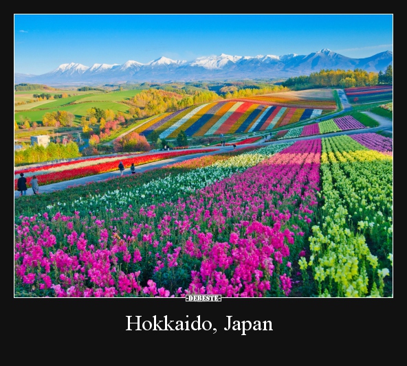 Hokkaido, Japan..