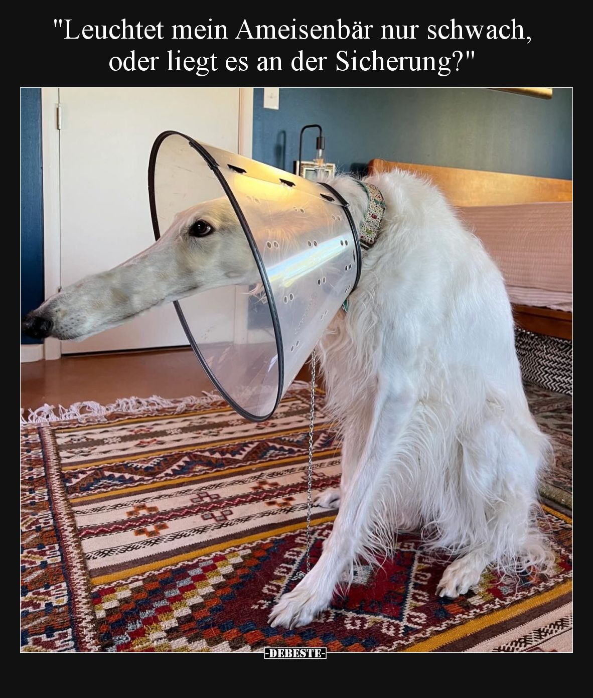 Leuchtet mein Ameisenbär nur schwach, oder liegt es an der Sicherung?