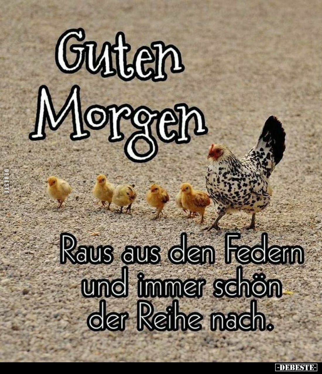 Guten Morgen
Raus aus den Federn und immer schön der Reihe nach.