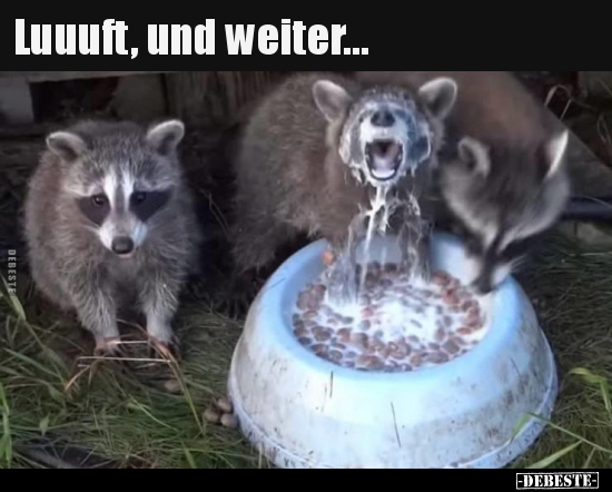 Luuuft, und weiter...