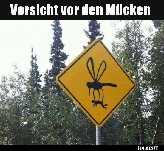 Vorsicht vor den Mücken..
