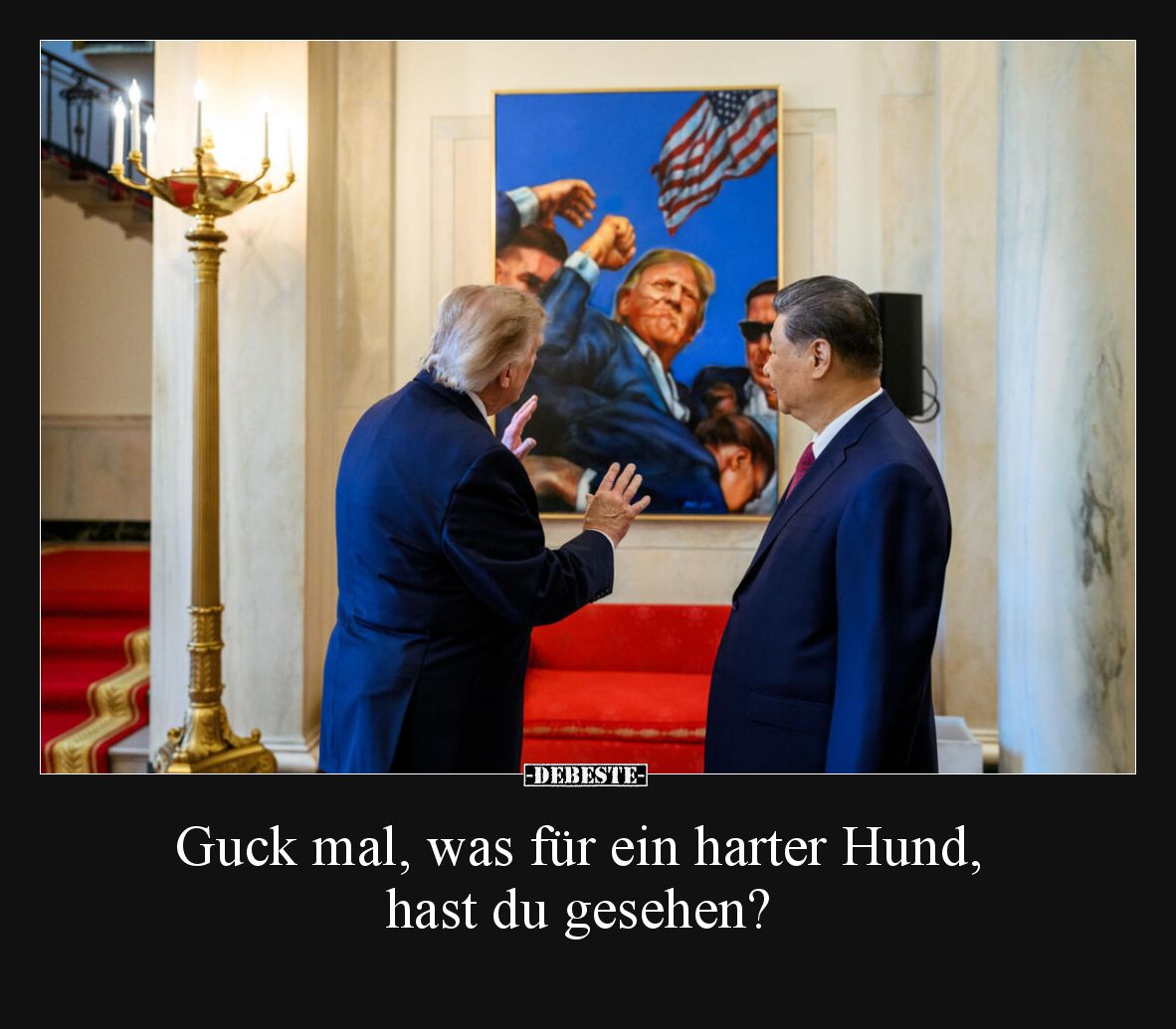 Guck mal, was für ein harter Hund, hast du gesehen?