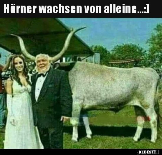 Hörner wachsen von alleine...:) - Lustige Bilder | DEBESTE.de