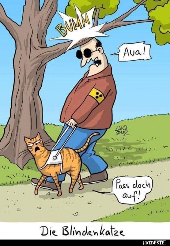 Die Blindenkatze..