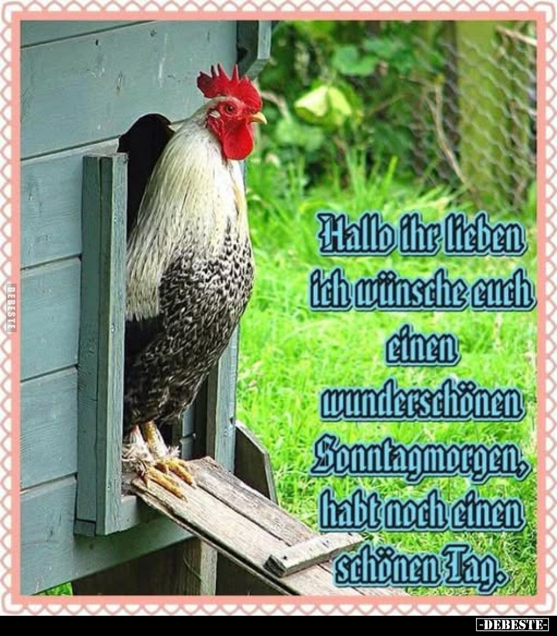 Hallo ihr lieben ich wünsche euch einen wunderschönen.. - Lustige Bilder | DEBESTE.de