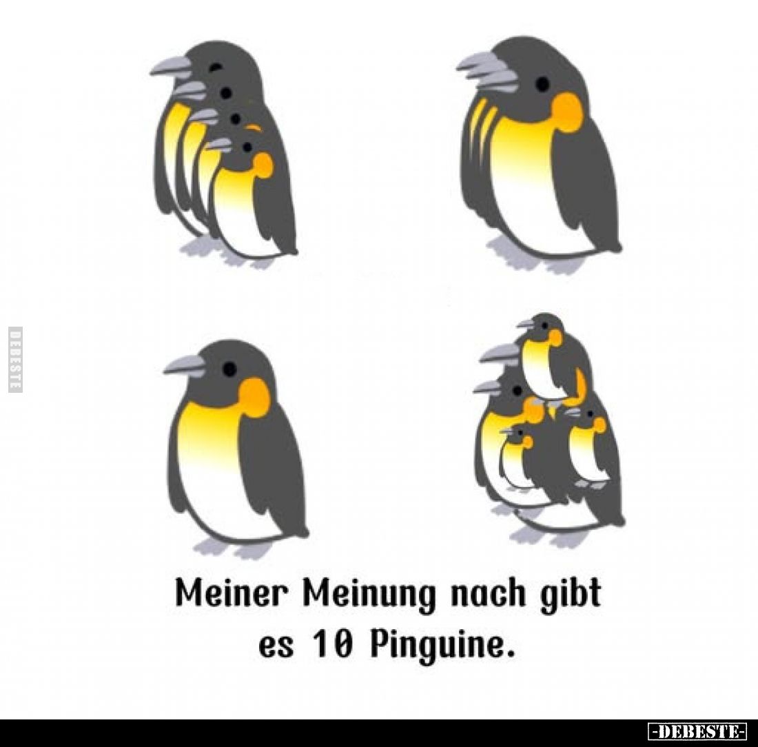 Meiner Meinung nach gibt es 10 Pinguine.
