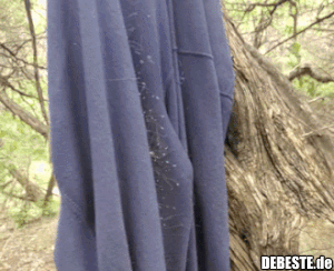 Ich brauch die Jacke nicht mehr..