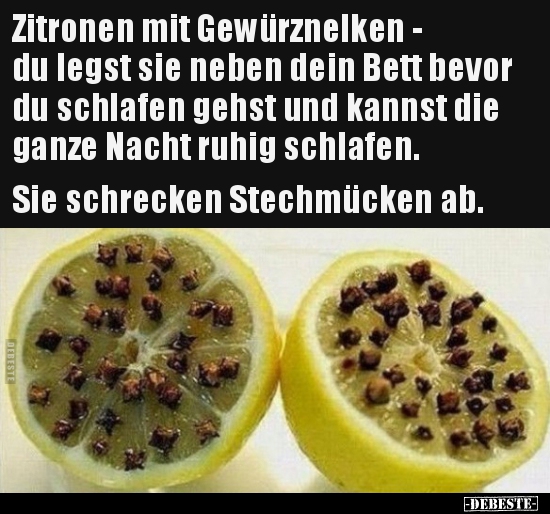 Zitronen mit Gewürznelken - du legst sie neben dein Bett.. - Lustige Bilder | DEBESTE.de