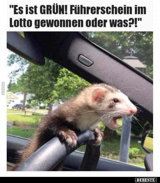 "Es ist GRÜN! Führerschein im Lotto gewonnen oder.." - Lustige Bilder | DEBESTE.de
