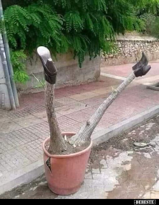  - Lustige Bilder | DEBESTE.de