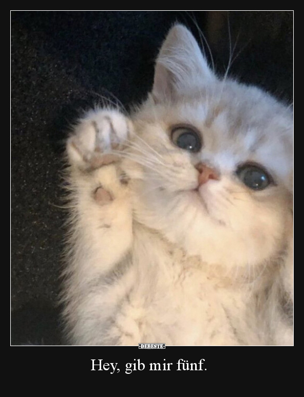 Hey, gib mir fünf.