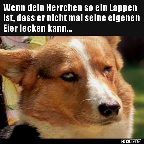 Wenn dein Herrchen so ein Lappen ist, dass er nicht mal..
