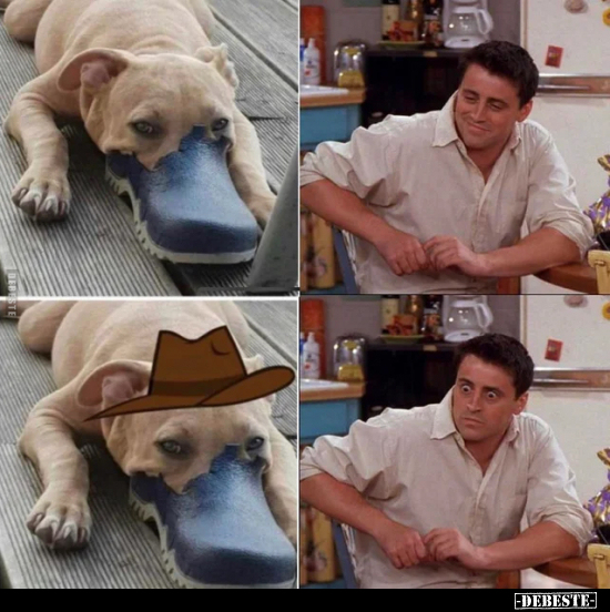  - Lustige Bilder | DEBESTE.de