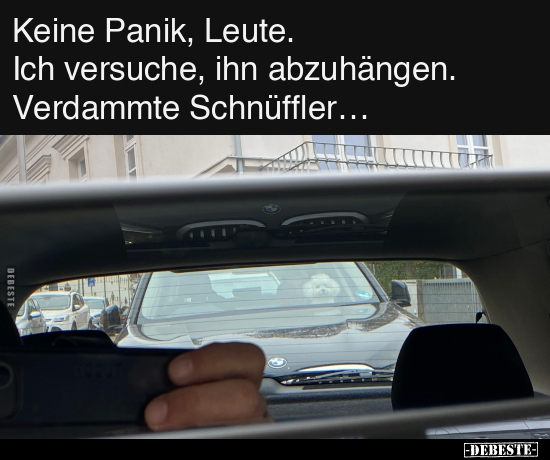 Keine Panik, Leute.. - Lustige Bilder | DEBESTE.de