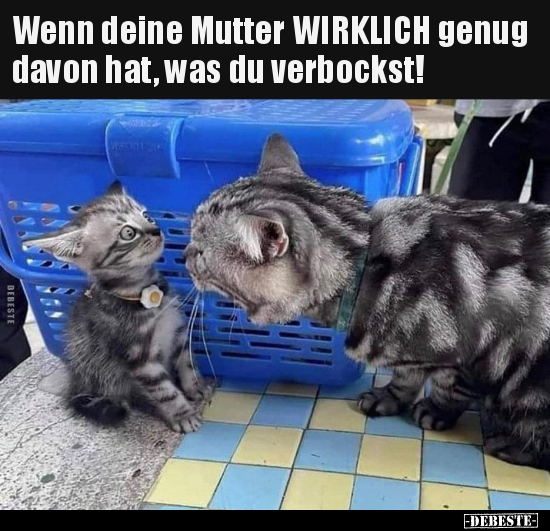 Wenn deine Mutter WIRKLICH genug davon hat, was du.. - Lustige Bilder | DEBESTE.de