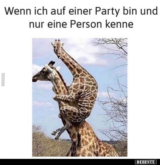 Wenn ich auf einer Party bin und.. - Lustige Bilder | DEBESTE.de