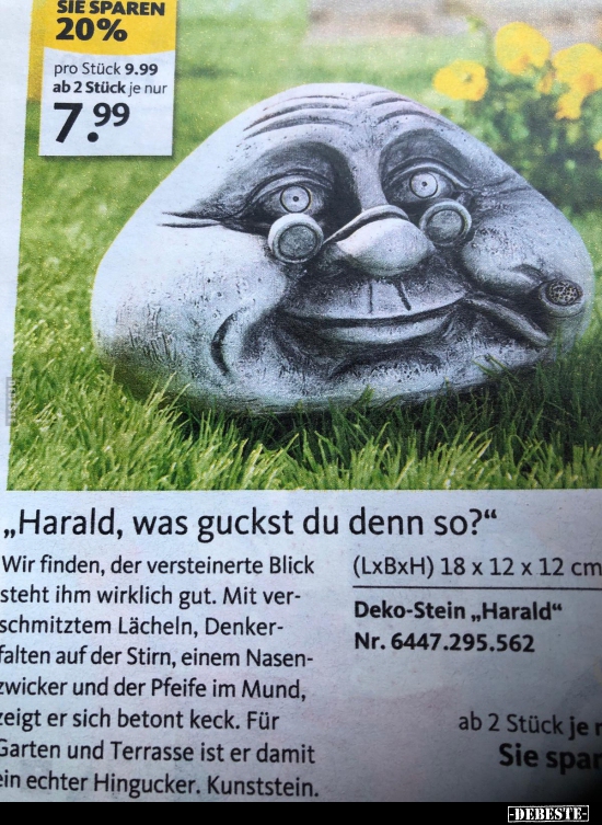Harald, was guckst du denn so?.. - Lustige Bilder | DEBESTE.de