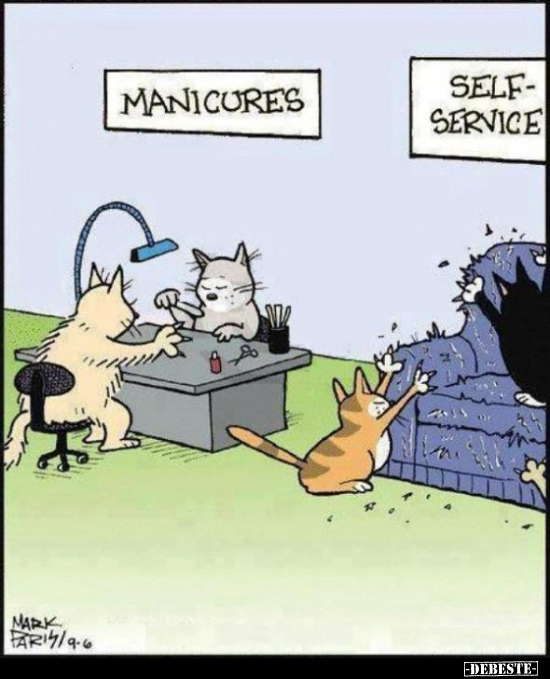  - Lustige Bilder | DEBESTE.de