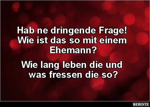 Hab ne dringende Frage! Wie ist das so mit einem Ehemann? - Lustige Bilder | DEBESTE.de