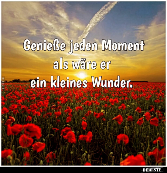 Genieße jeden Moment.. - Lustige Bilder | DEBESTE.de