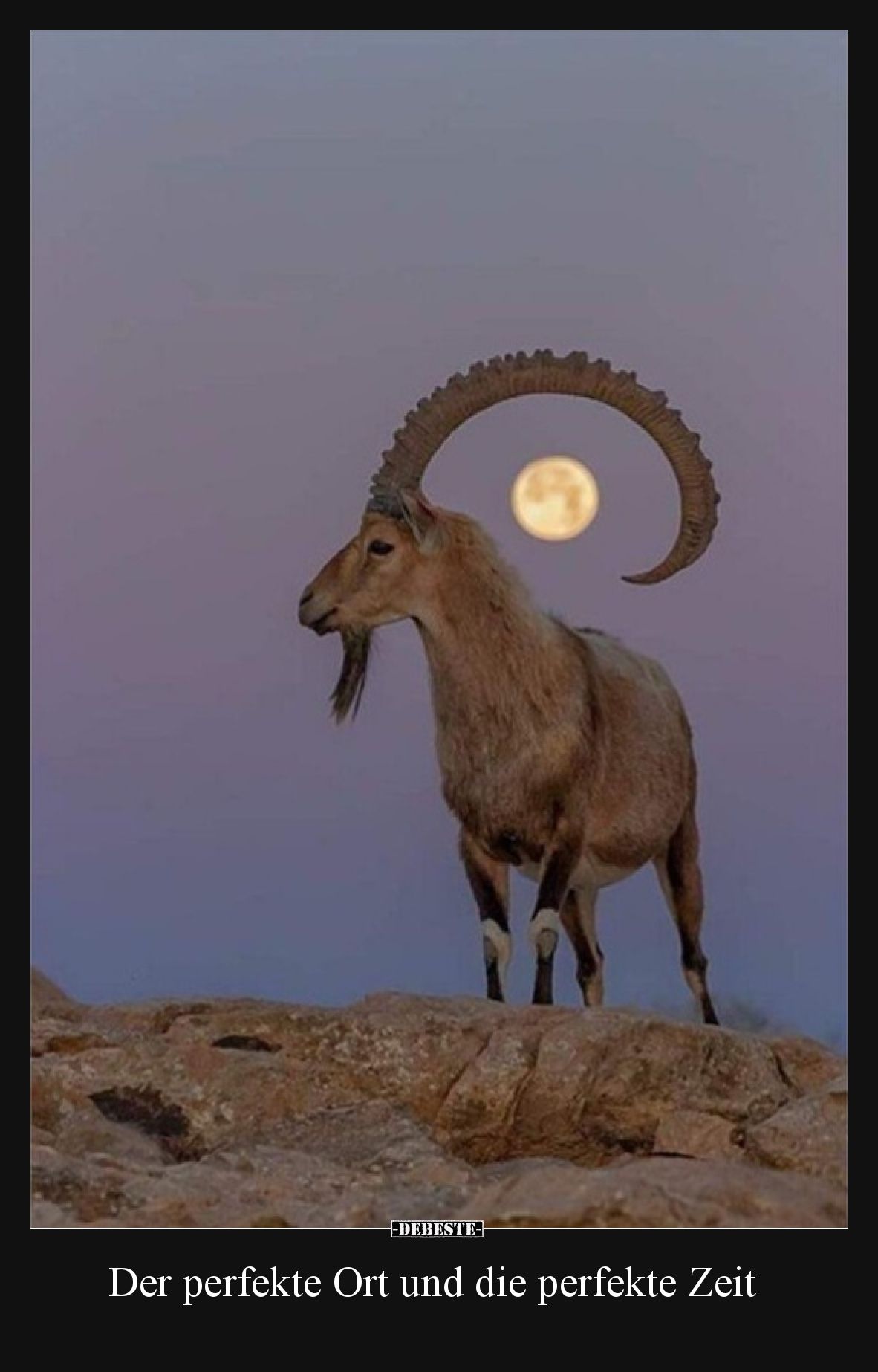 Der perfekte Ort und die perfekte Zeit