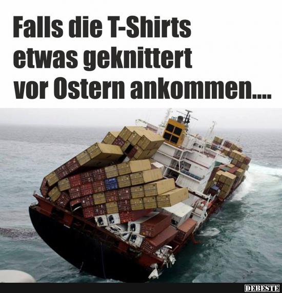 Falls die T-Shirts etwas geknittert.. - Lustige Bilder | DEBESTE.de