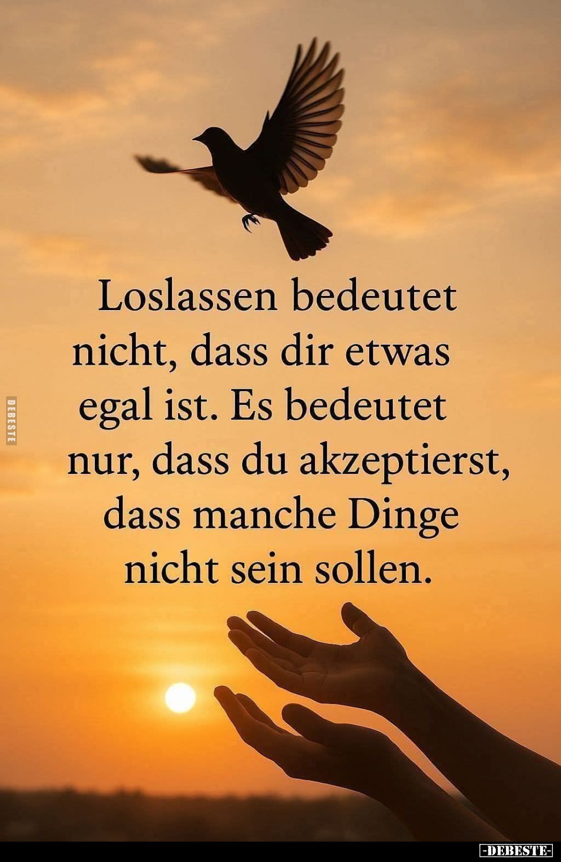 Loslassen bedeutet nicht, dass dir etwas egal ist. Es bedeutet nur, dass du akzeptierst, dass manche Dinge nicht sein sollen.