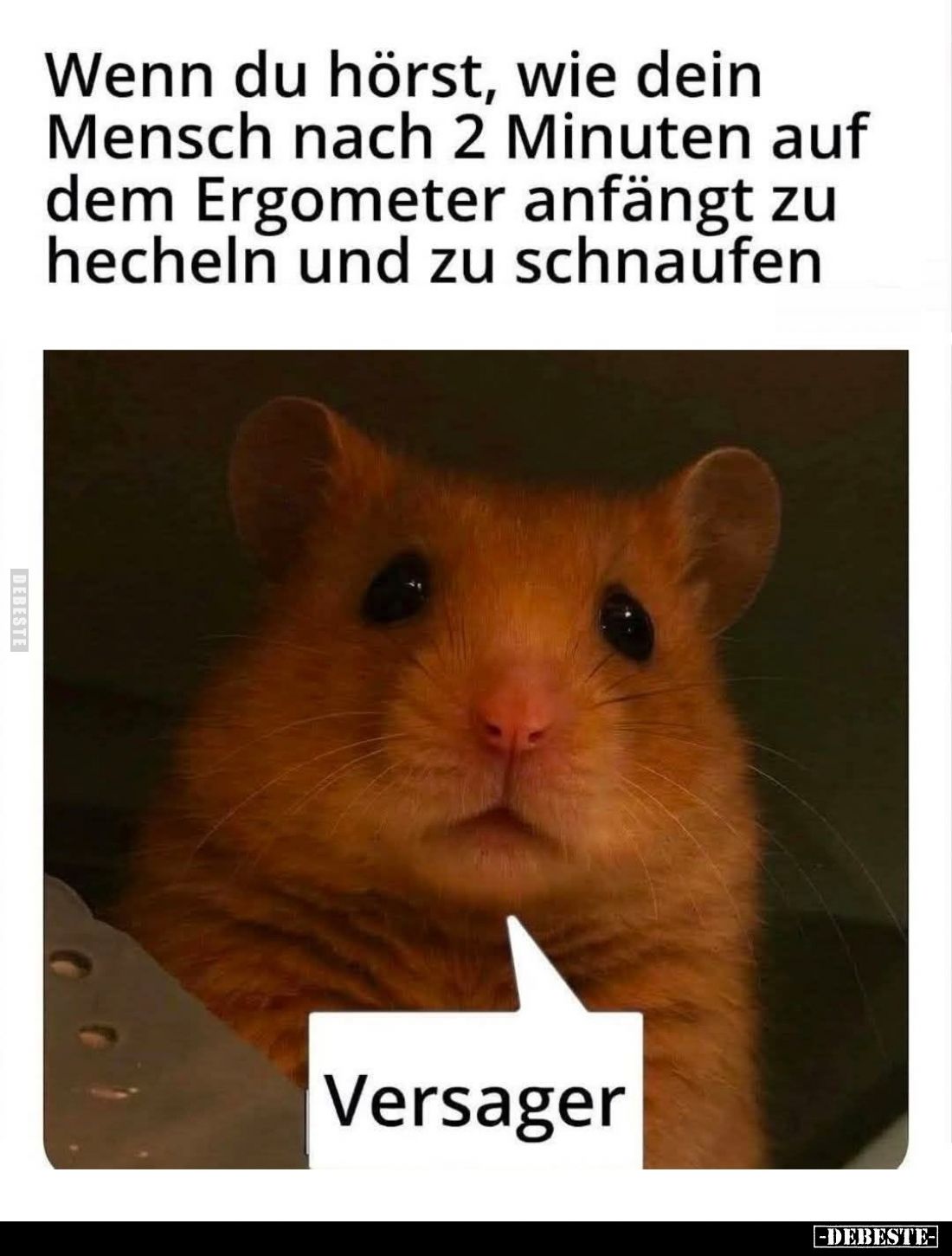 Wenn du hörst, wie dein Mensch nach 2 Minuten auf dem Ergometer anfängt zu hecheln und zu schnaufen.