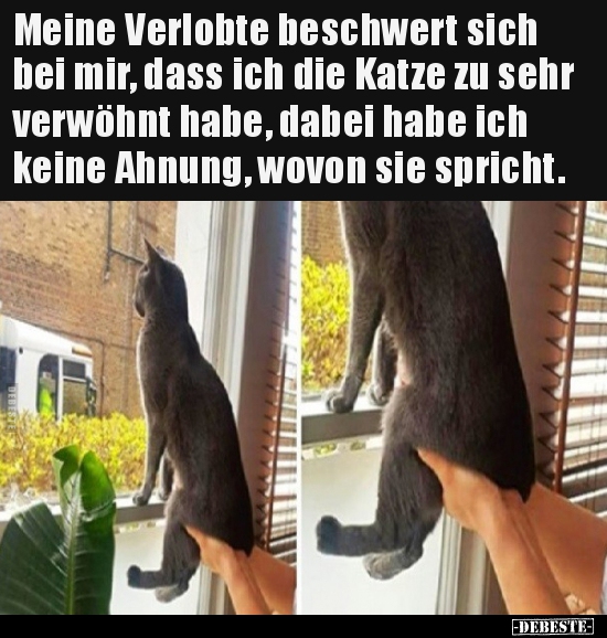 Meine Verlobte beschwert sich bei mir, dass ich die Katze.. - Lustige Bilder | DEBESTE.de