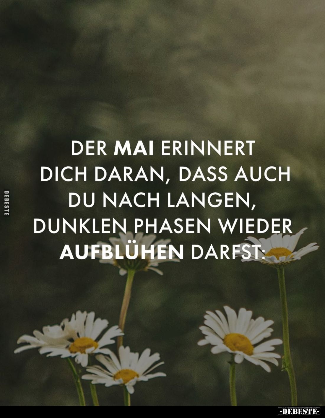 Der Mai erinnert dich daran, dass auch du nach langen, dunklen Phasen wieder aufblühen darfst.