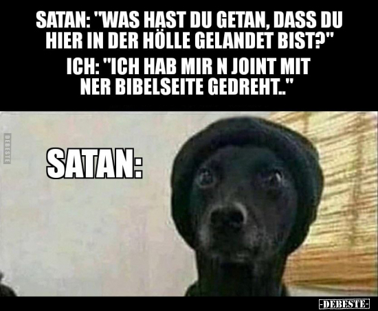 Satan: "Was hast du getan, dass du hier in der Hölle.." - Lustige Bilder | DEBESTE.de
