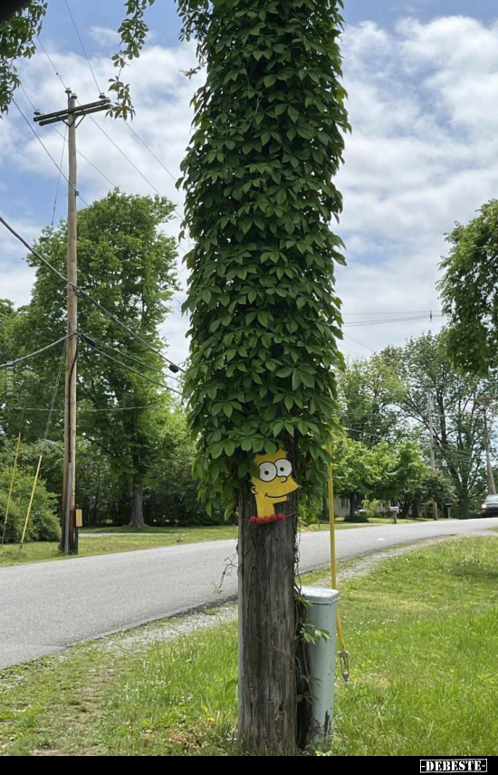  - Lustige Bilder | DEBESTE.de