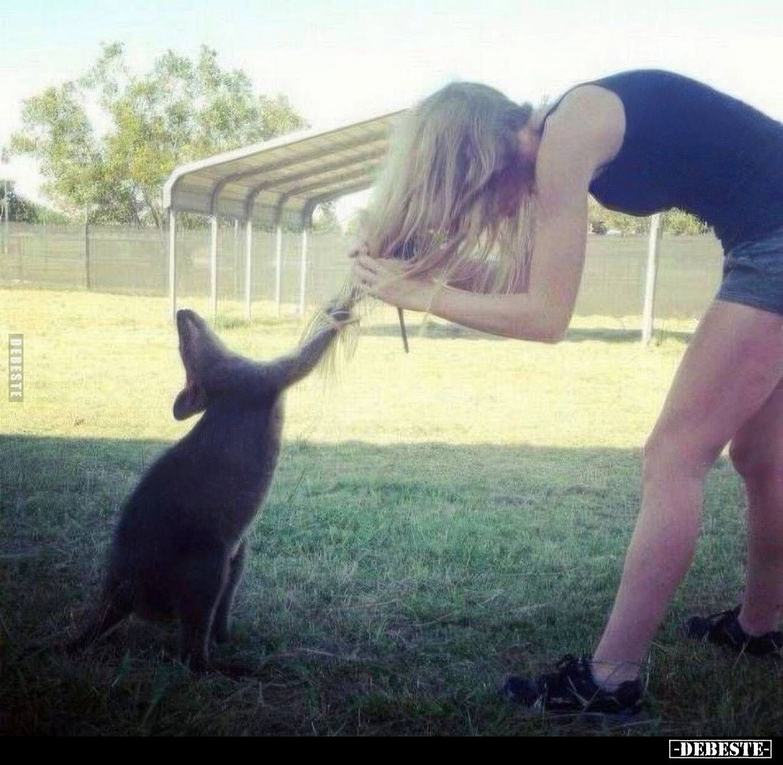  - Lustige Bilder | DEBESTE.de