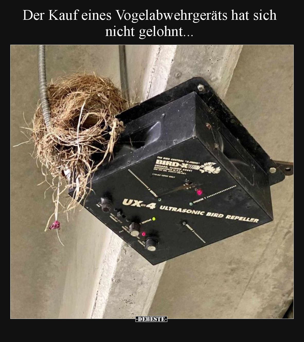 Der Kauf eines Vogelabwehrgeräts hat sich nicht.. - Lustige Bilder | DEBESTE.de